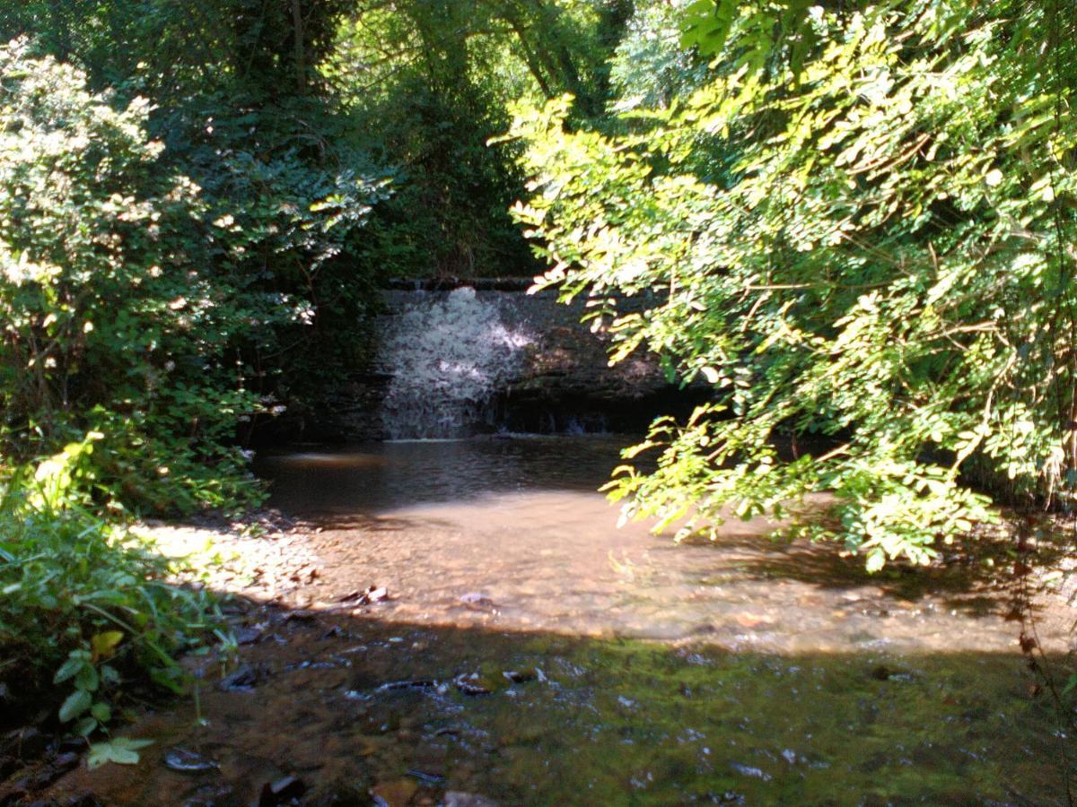 Domaine Le Mayne Chabrignac المظهر الخارجي الصورة