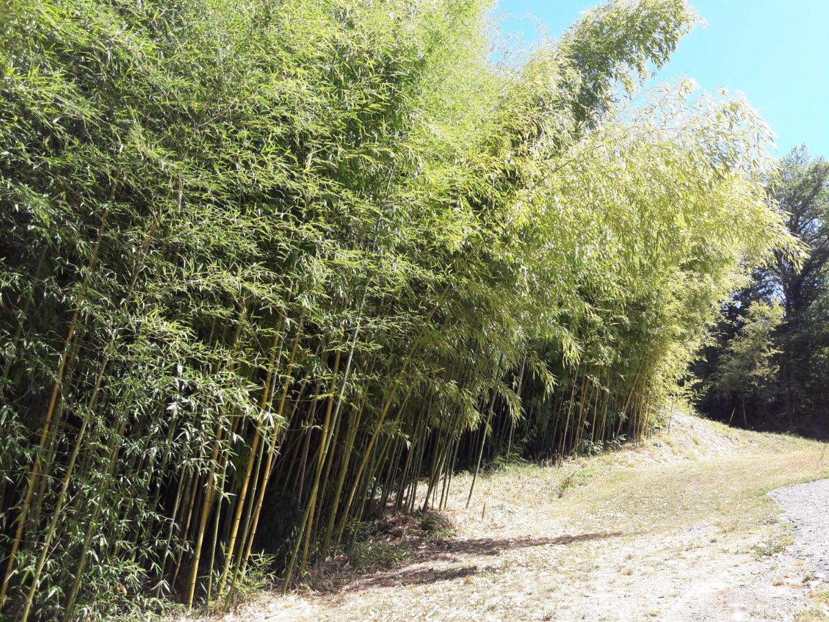 Domaine Le Mayne Chabrignac المظهر الخارجي الصورة
