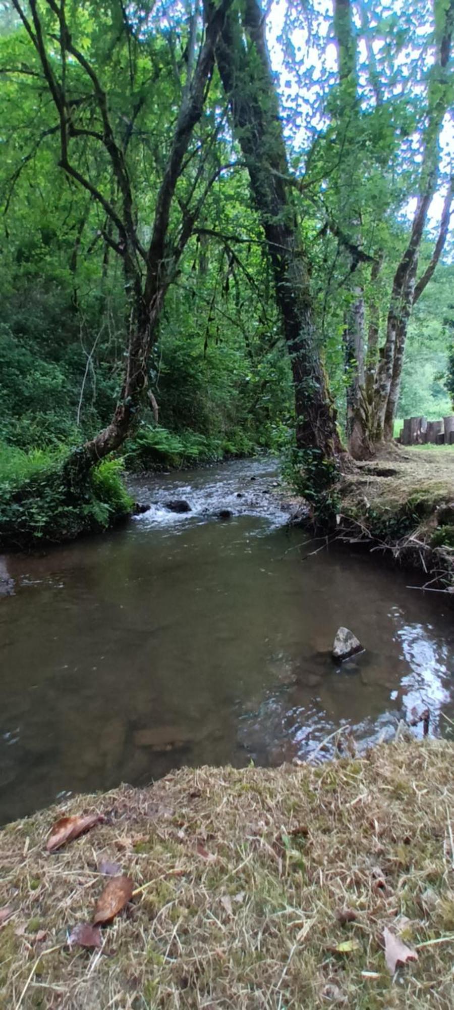 Domaine Le Mayne Chabrignac المظهر الخارجي الصورة